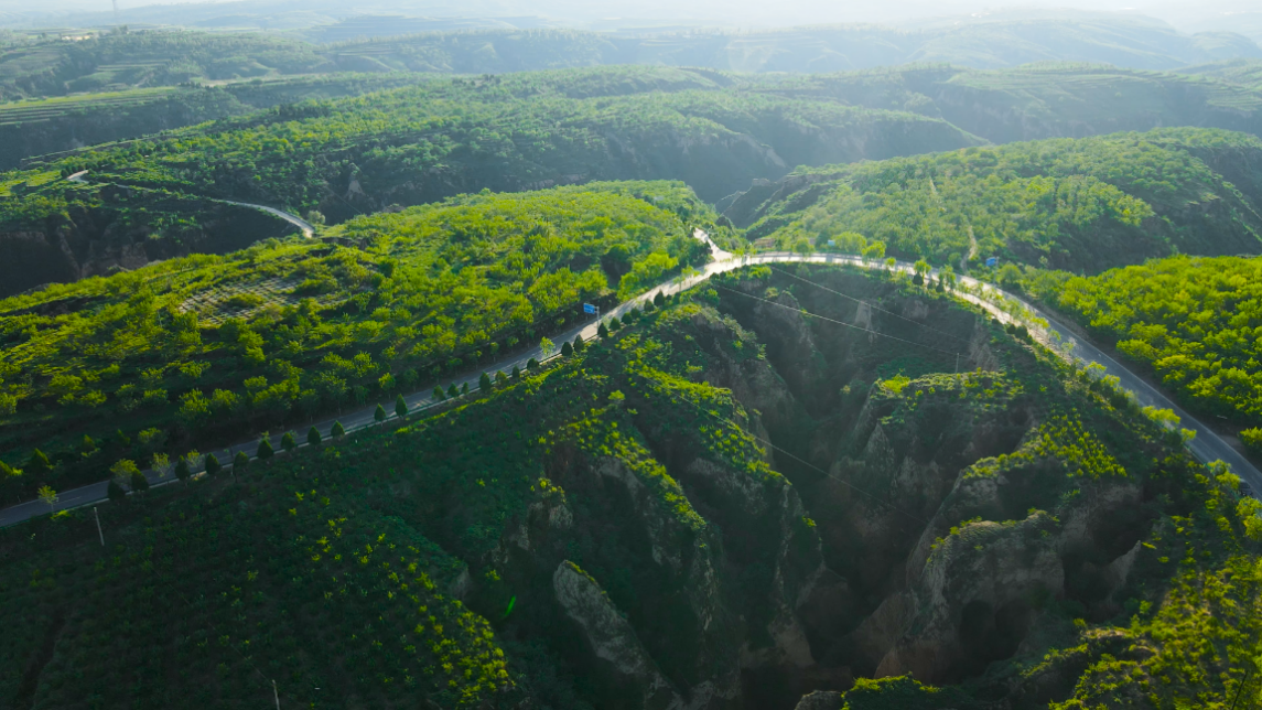 榆阳区民心路编织振兴梦