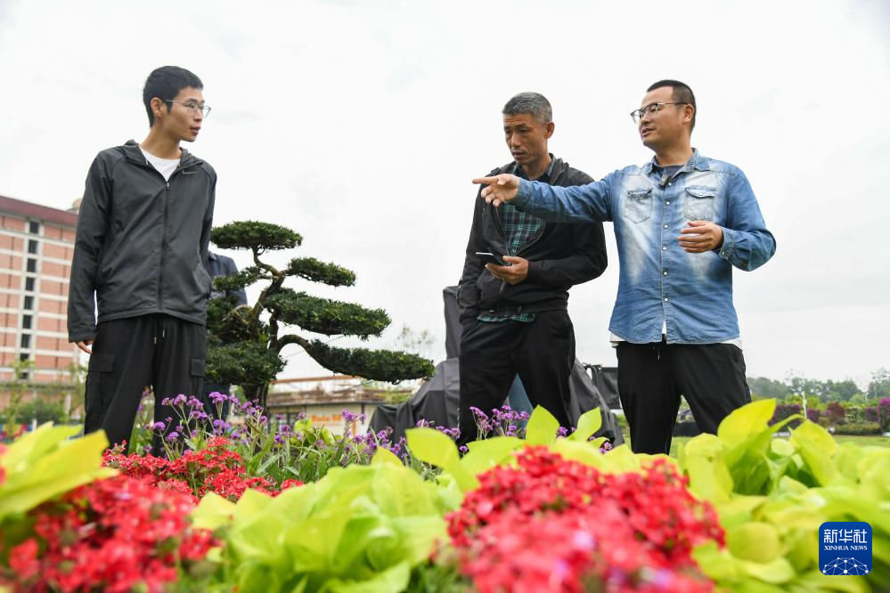 4月23日,在成都世园会温江分会场,陈宏宇(右)和同事交流讨论盆景摆放