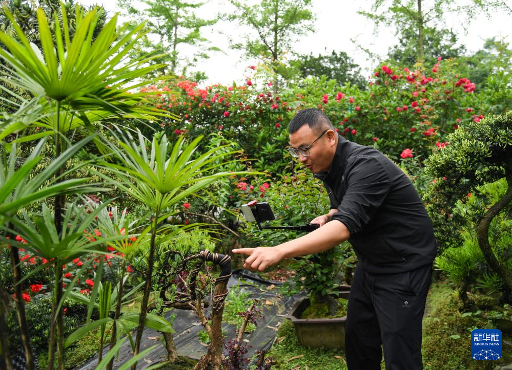 5月2日,在位于四川省成都市温江区的川派盆景游学体验基地,陈宏宇通过