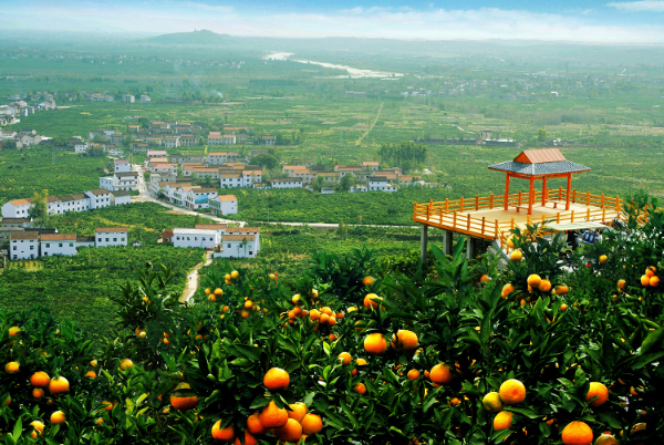 城固县亮相《300秒看家乡》,展示"张骞故里·神奇桔乡"魅力风采