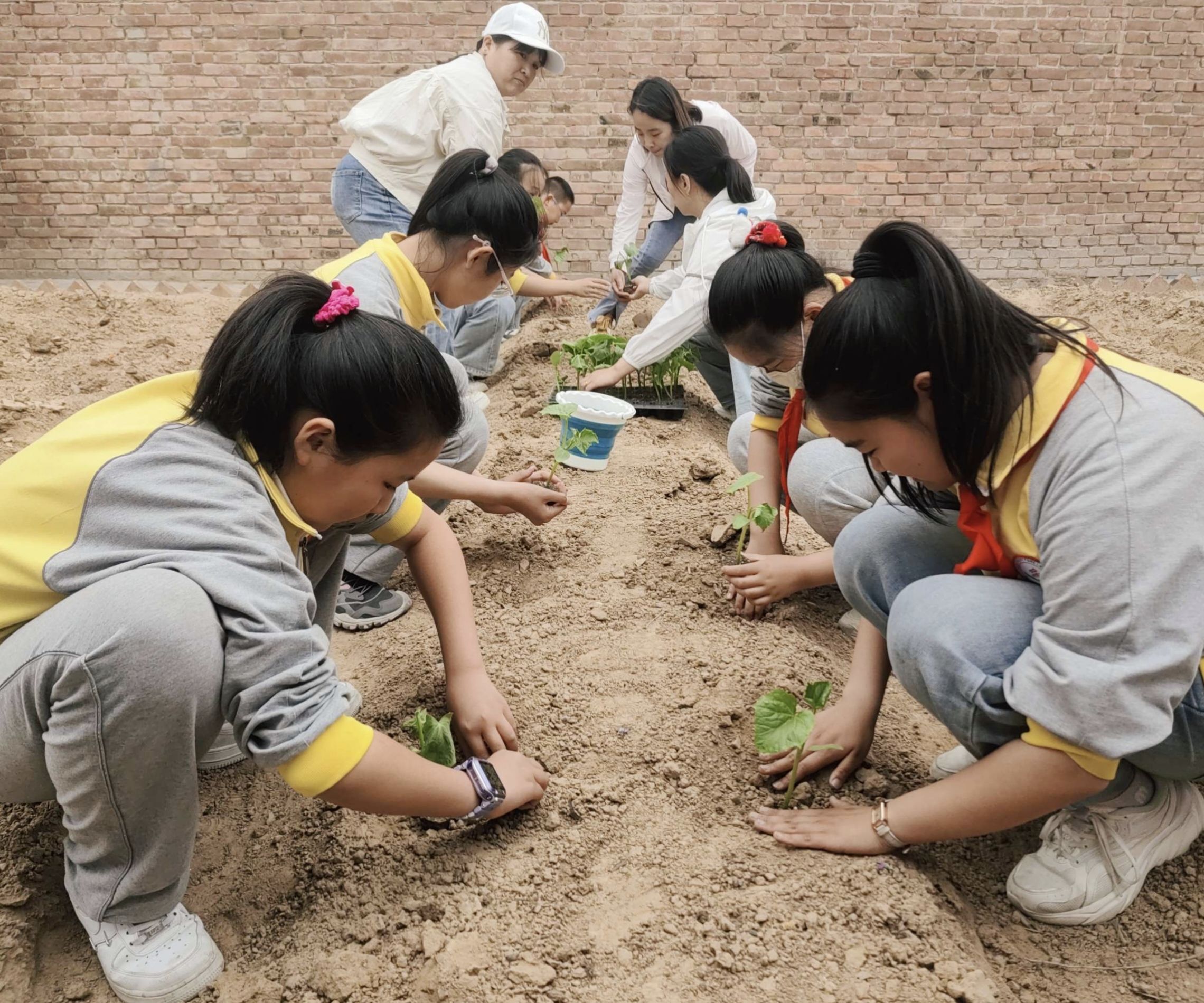 小学生社会实践美篇