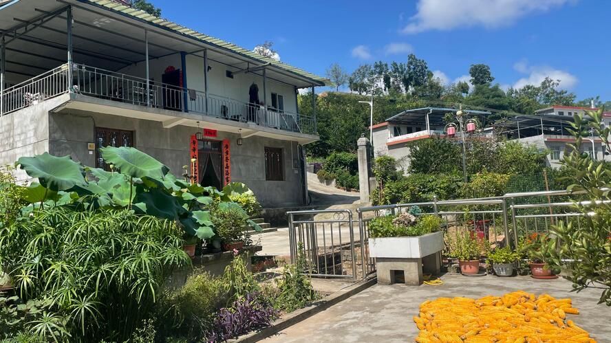 庭院里有景致也有生活