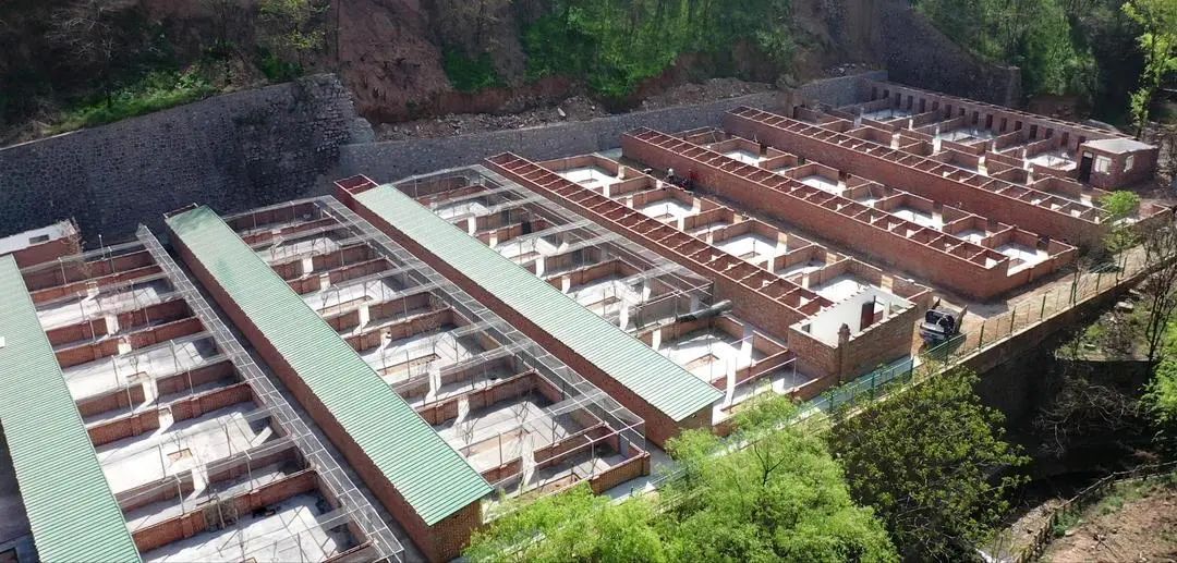 神农镇林麝养殖产业园区。