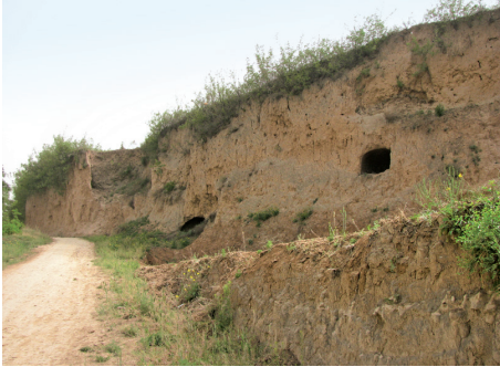 成山宫遗址局部