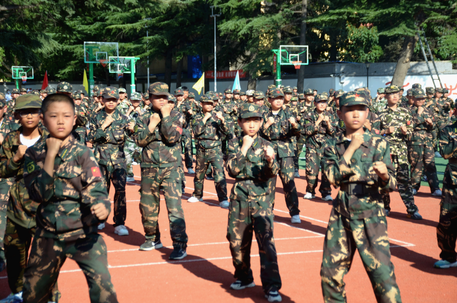 精彩的擒敌拳展示