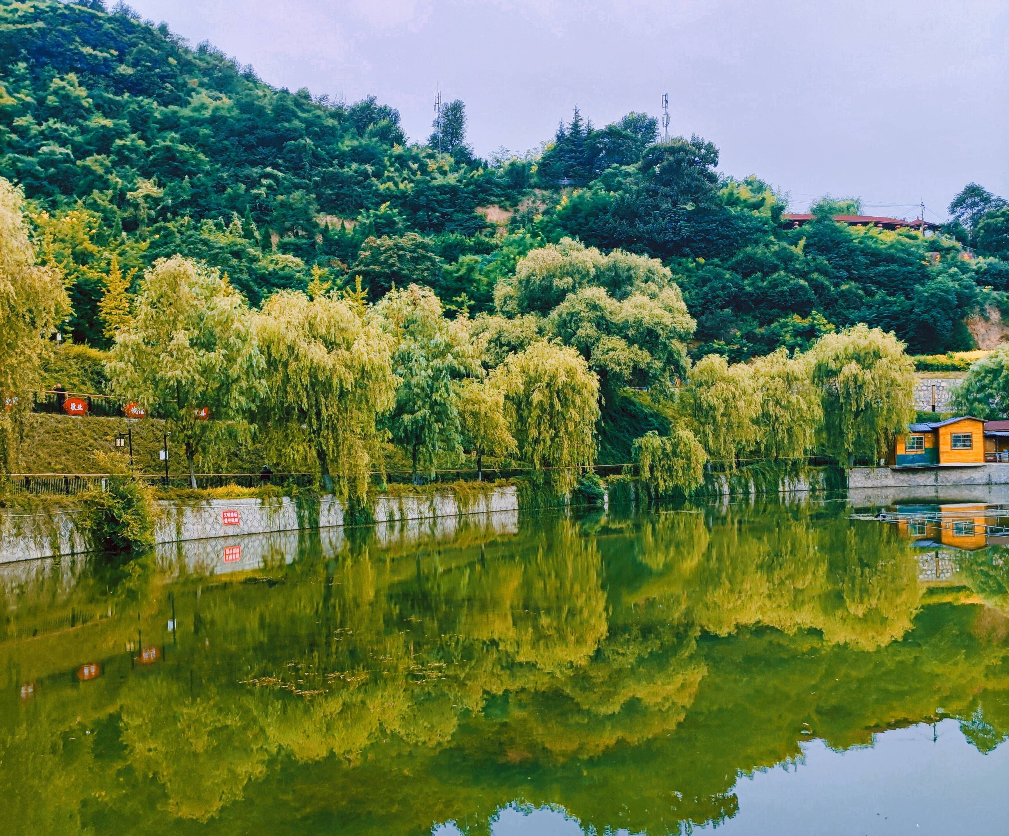 青山绿水尽显生态美。