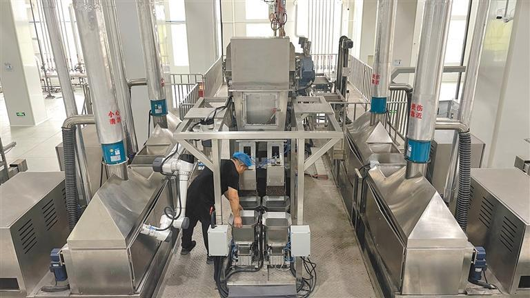 9月9日，咸阳泾渭茯茶有限公司工作人员正在生产车间作业。记者 蒲茜 摄