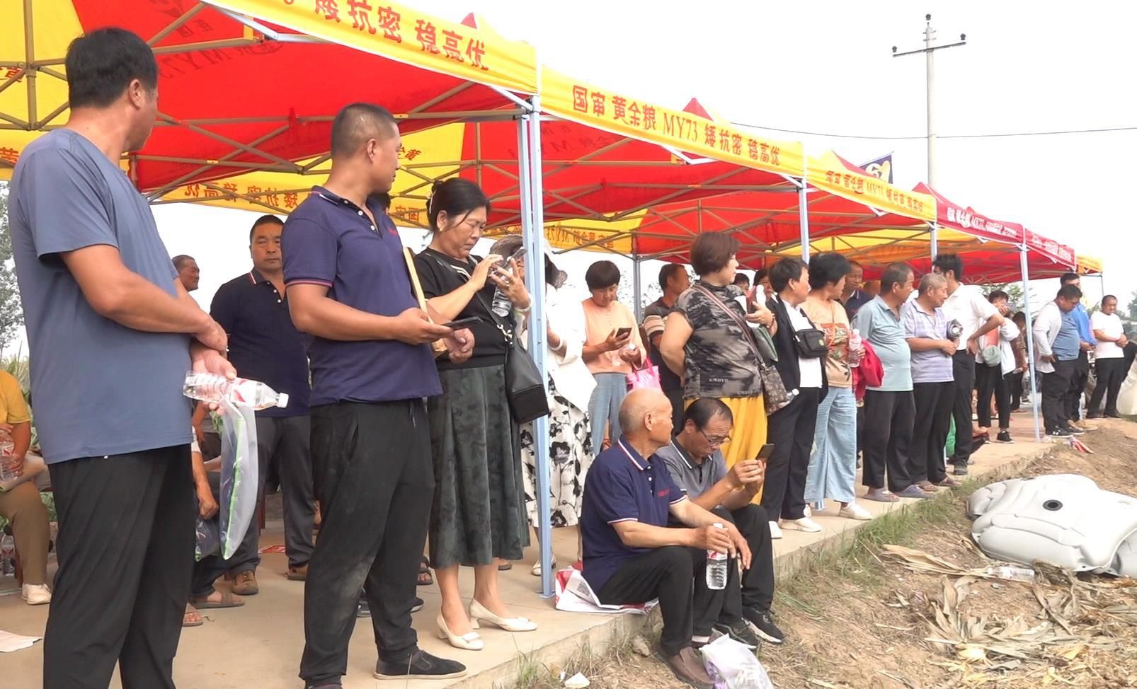 观摩现场人流涌动