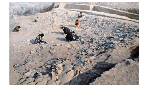 孙家南头宫殿遗址发掘现场