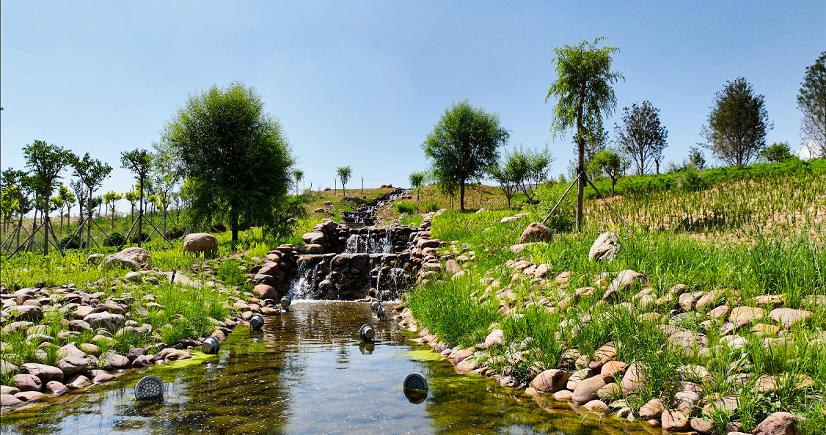 陕煤集团红柳林矿业公司立体生态修复示范园一角