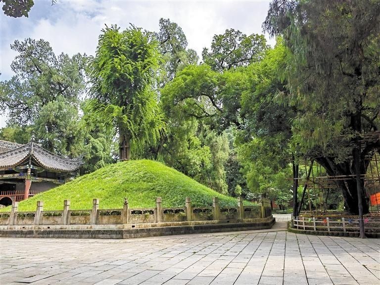 武侯墓被苍松翠柏围绕。记者 杜玮 摄