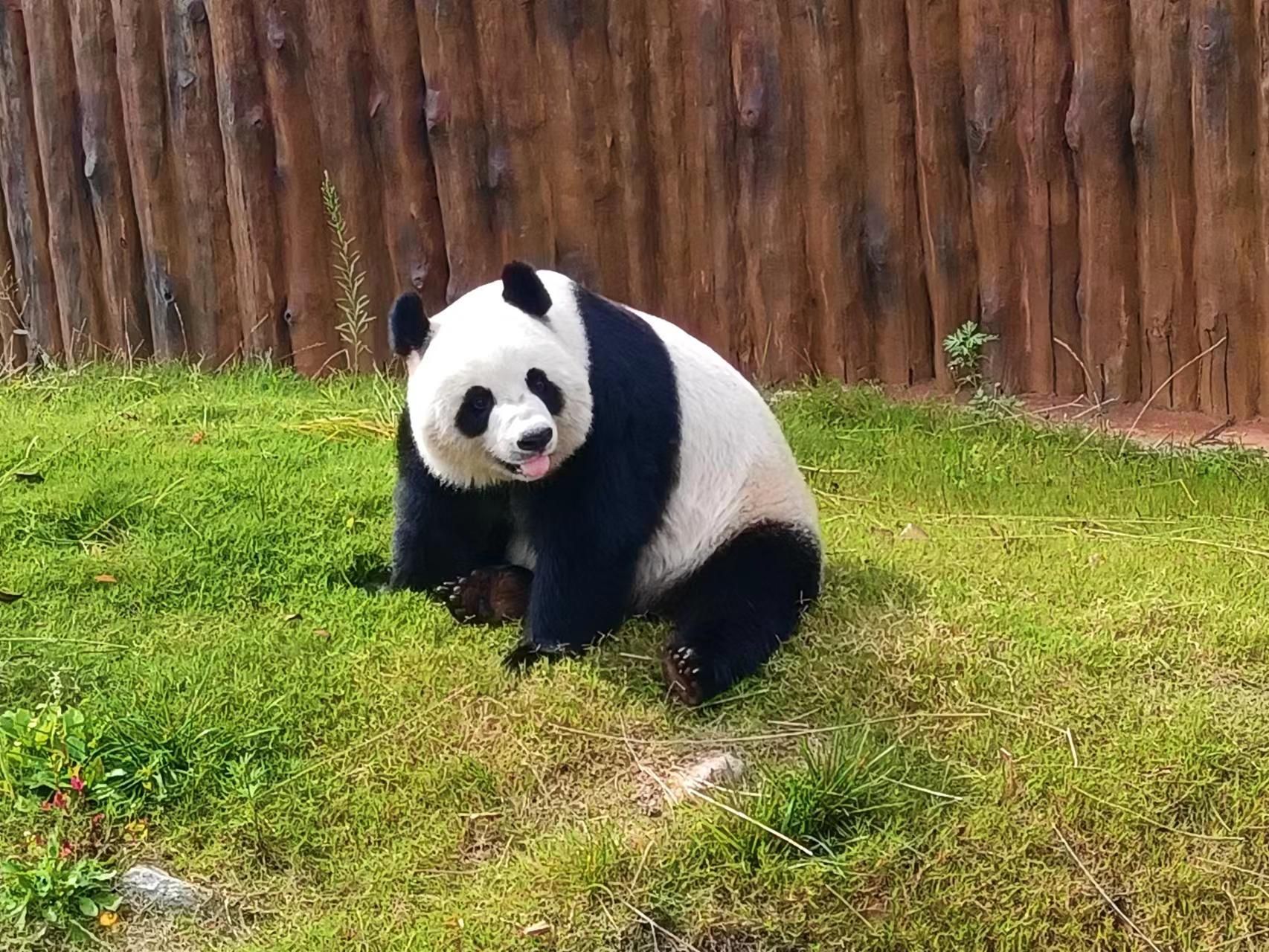 回眸一笑百媚生。