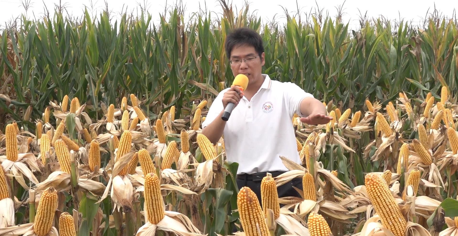 技术人员向群众讲解相关知识