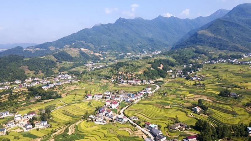 蜿蜒的道路、远方的青山相映成趣。