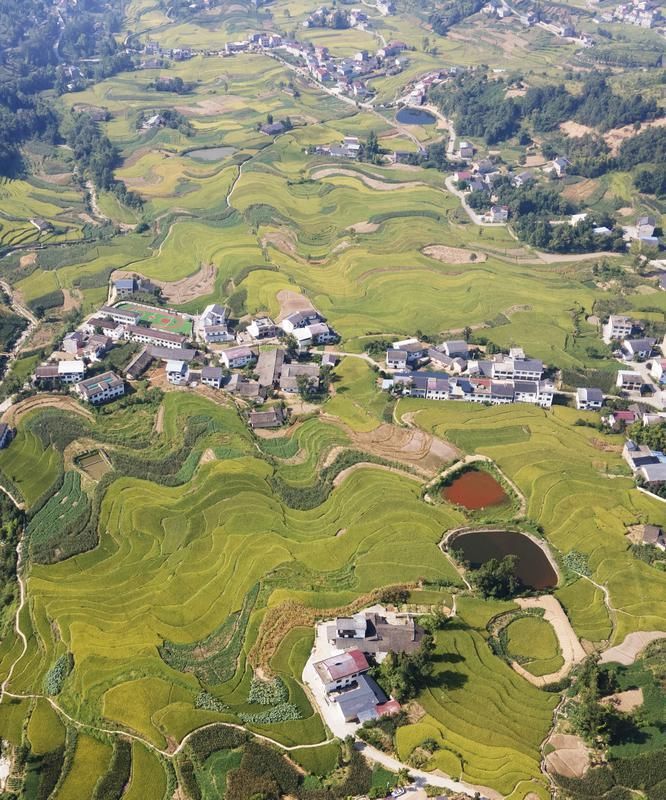 俯瞰凤堰古梯田