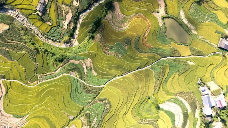 一片连一片的梯田层层叠叠,如诗如画。