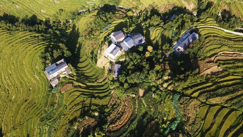 层层叠叠的稻田