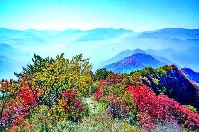 秦岭风光 陕西省林业局供图