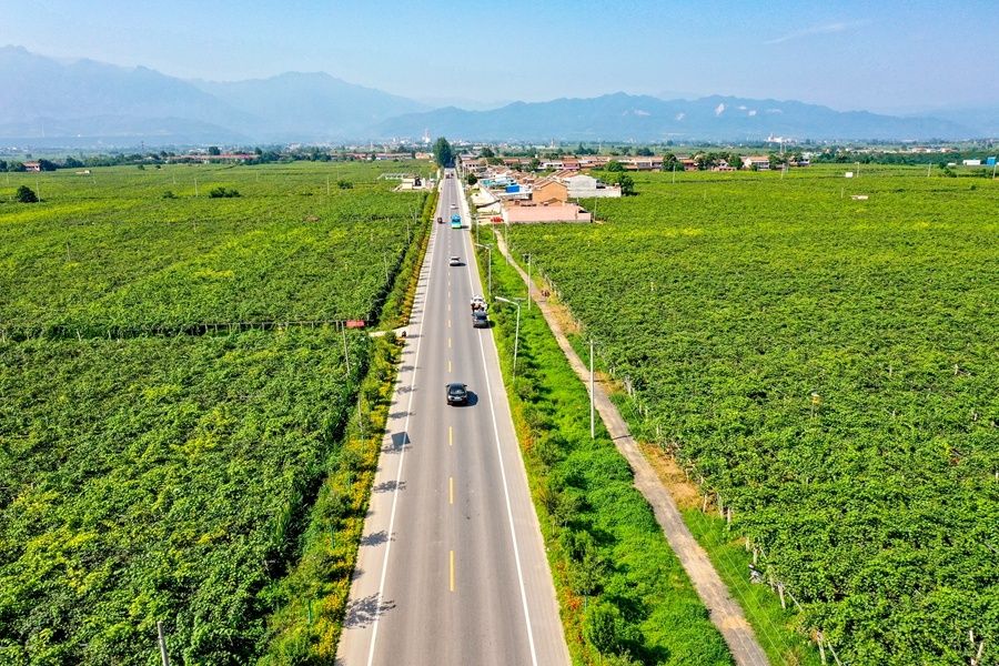 推动农村公路与产业项目同步建设。