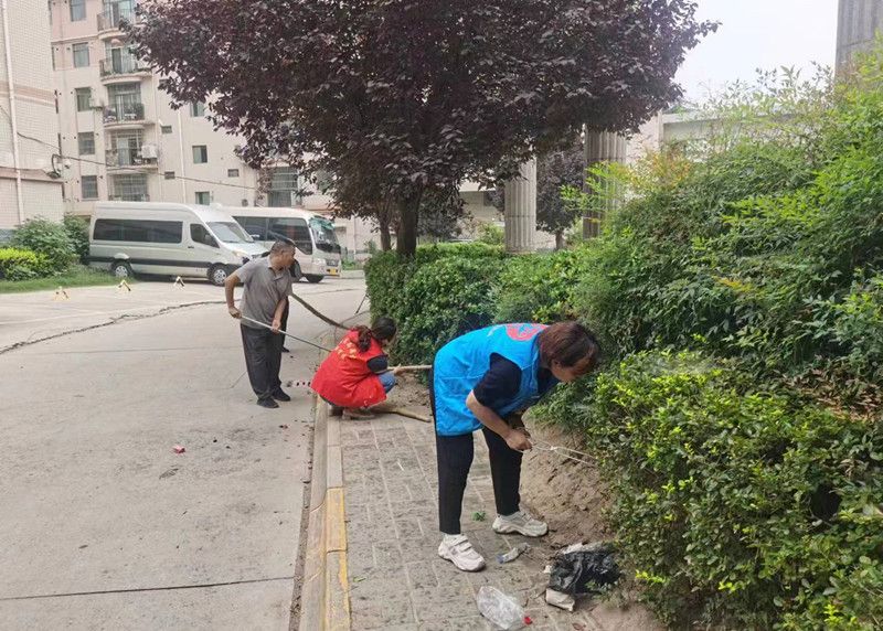 组织网格员正在清理垃圾(本文图片由渭南市临渭区人民街道提供)