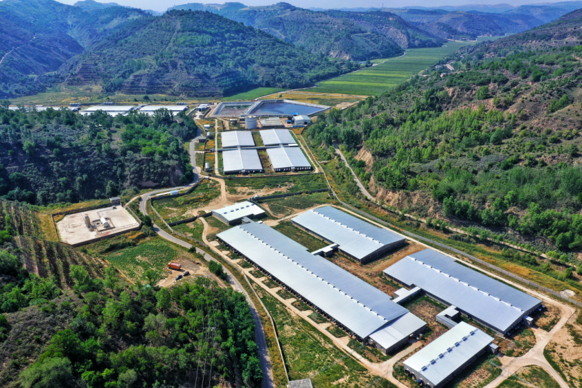 吴起县吴仓堡镇丈方台村30万头生猪养殖基地