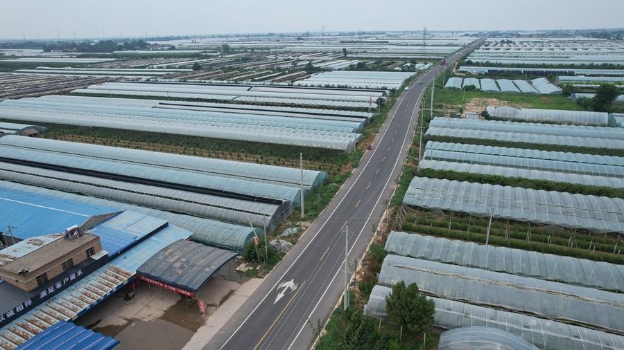 努力打造“畅达、惠民、开放、美丽”的交通环境。