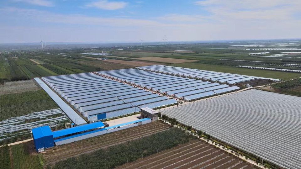 澄城县韦庄镇东白龙村农业设施园区