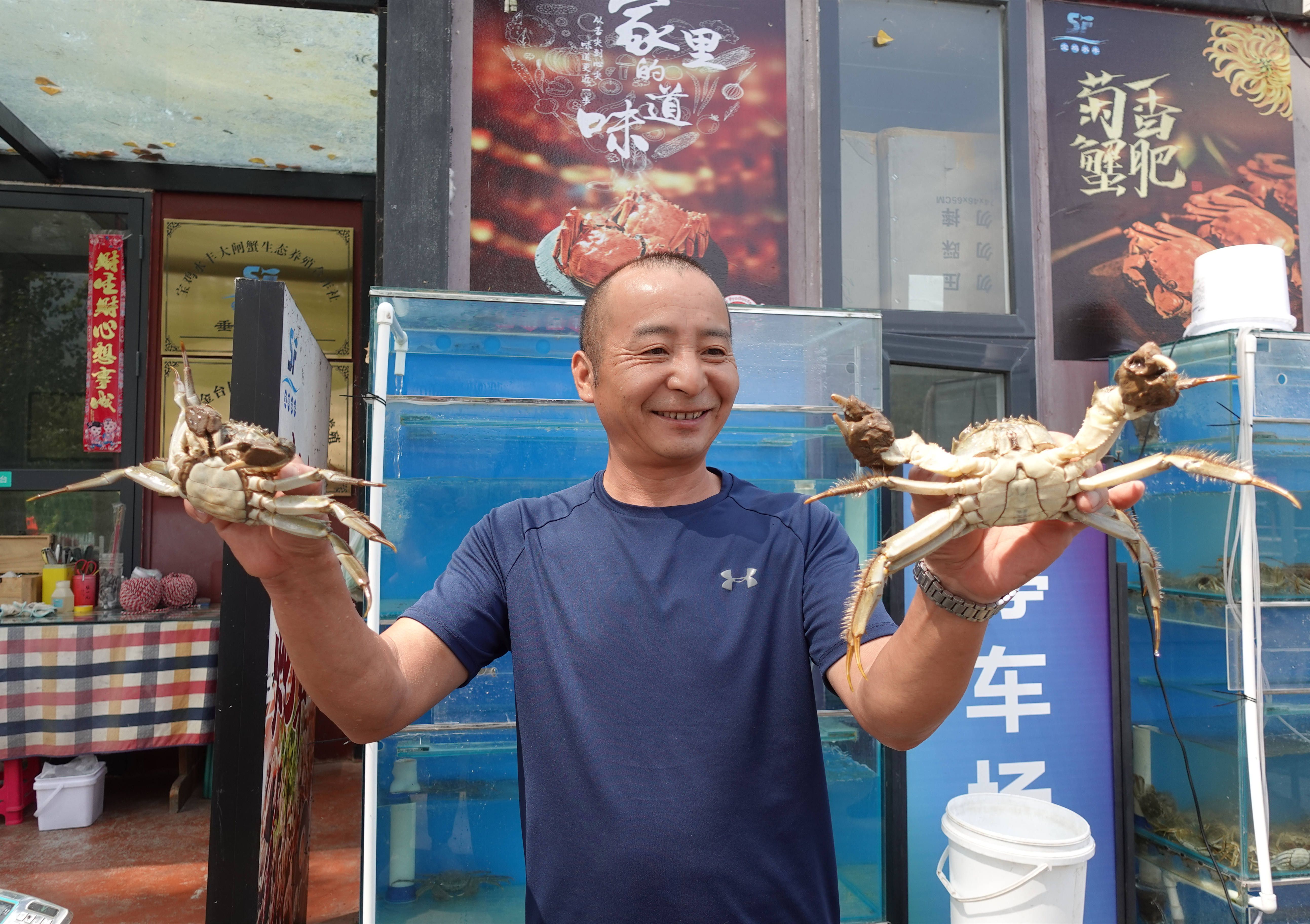 马海锋展示自己养殖的大闸蟹。