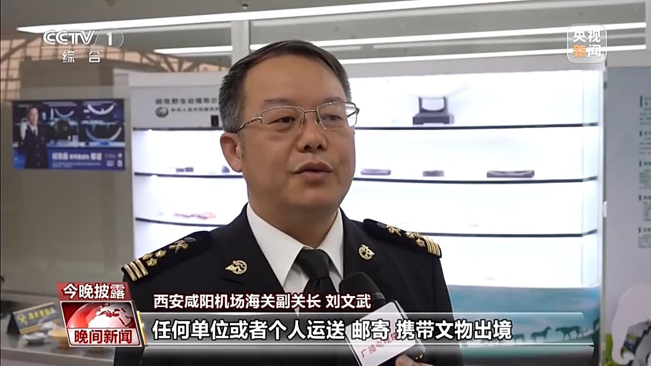 陕西西安海关查获违规携带494件文物出境案