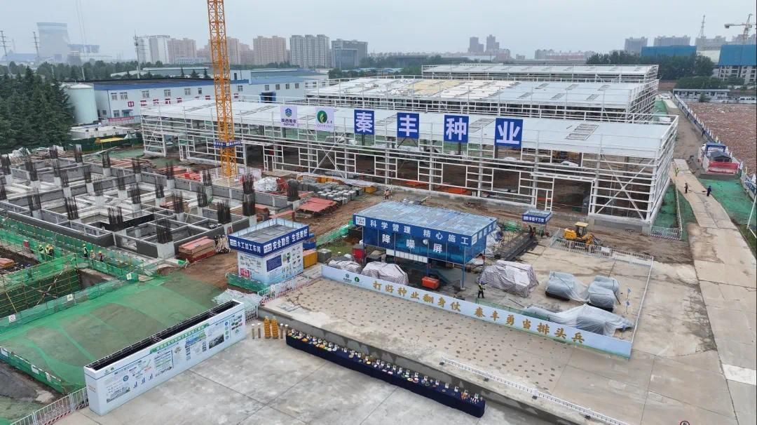 杨凌:抓牢种源"芯片" 打造旱区种业创新高地