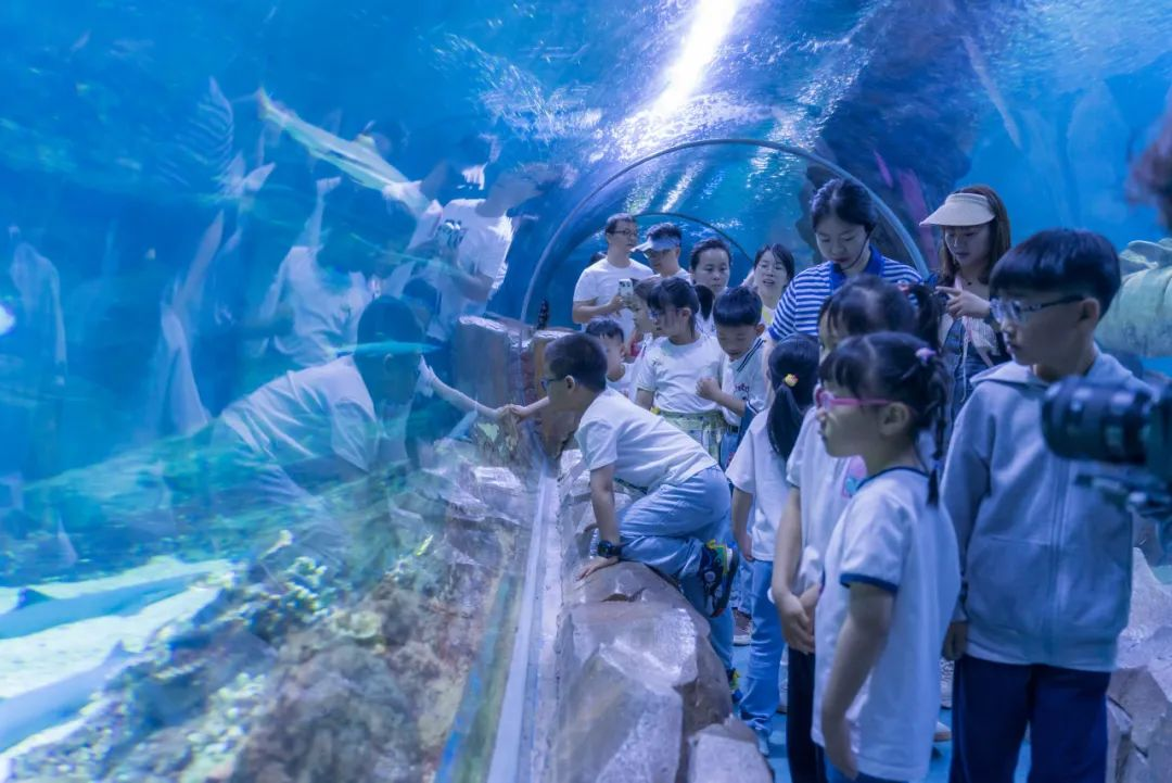 上海海昌海洋公园疫情图片