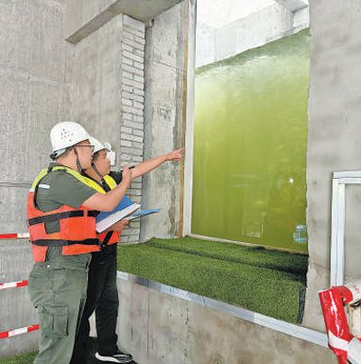 工作人员通过鱼道观测窗口记录鱼类洄游情况。