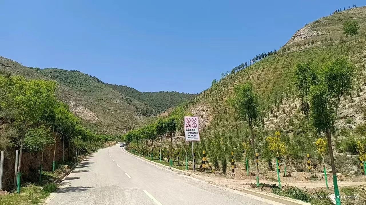 困难立地造林成效图