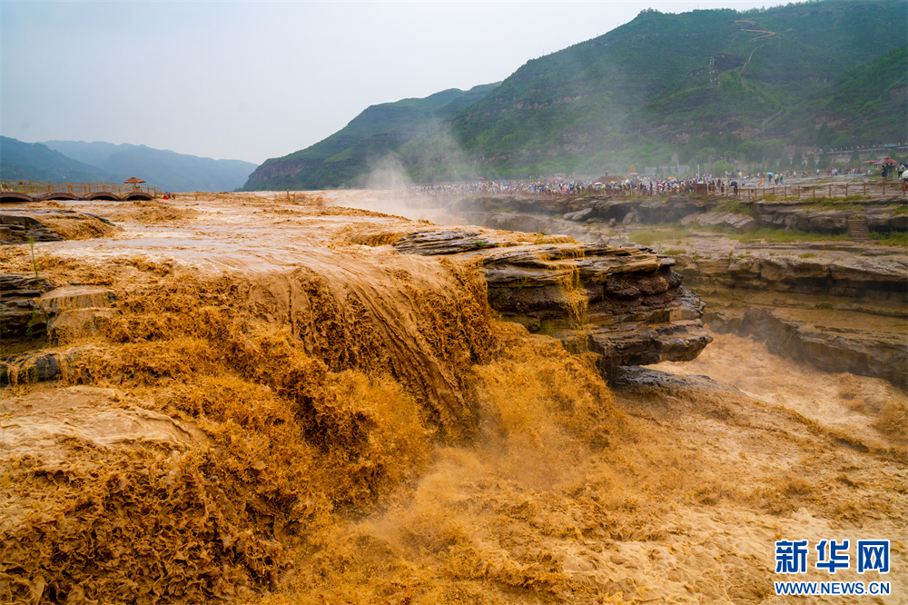 黄河壶口瀑布出现入汛以来最大金黄色瀑布群景观