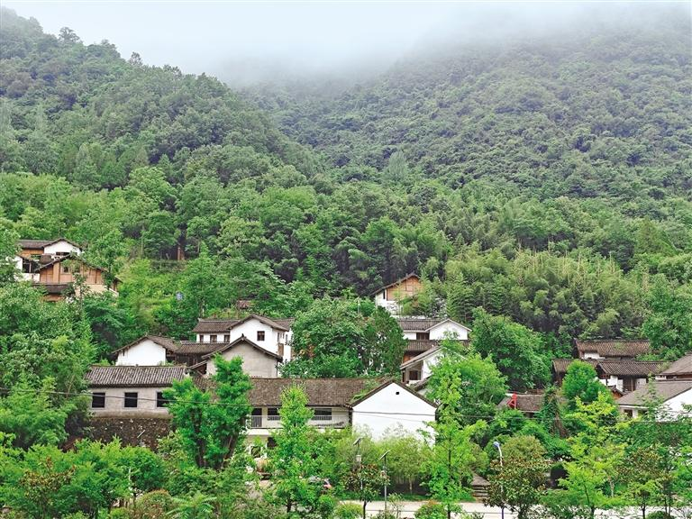 商南县金丝峡镇太子坪村，掩映在青山中的民居。记者 王佳伟 摄