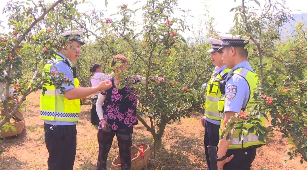 交警走进安乐社区一家花椒园（本文图片来源于潼关县融媒体中心）