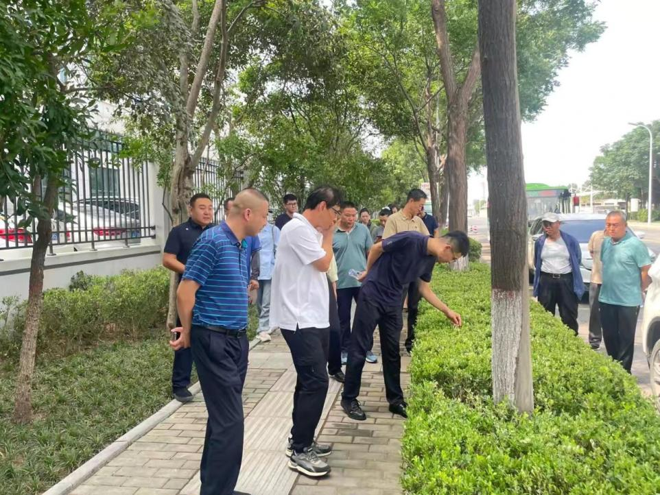 工作人员参观绿化角