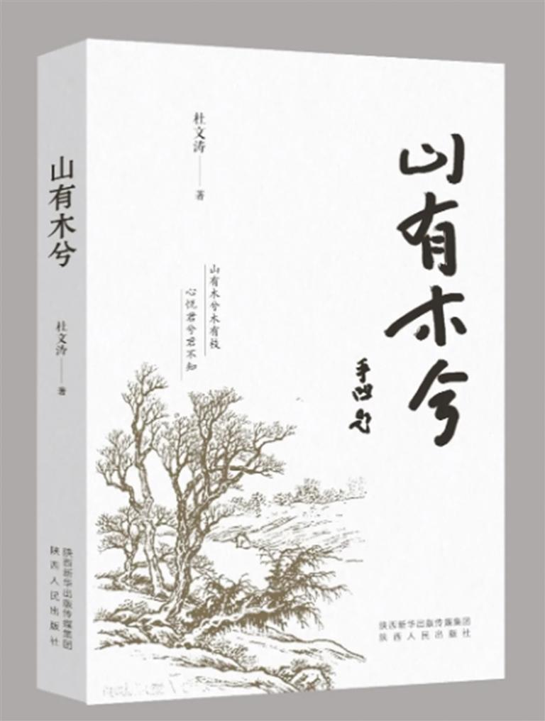 《山有木兮》杜文涛 著 陕西人民出版社 出版