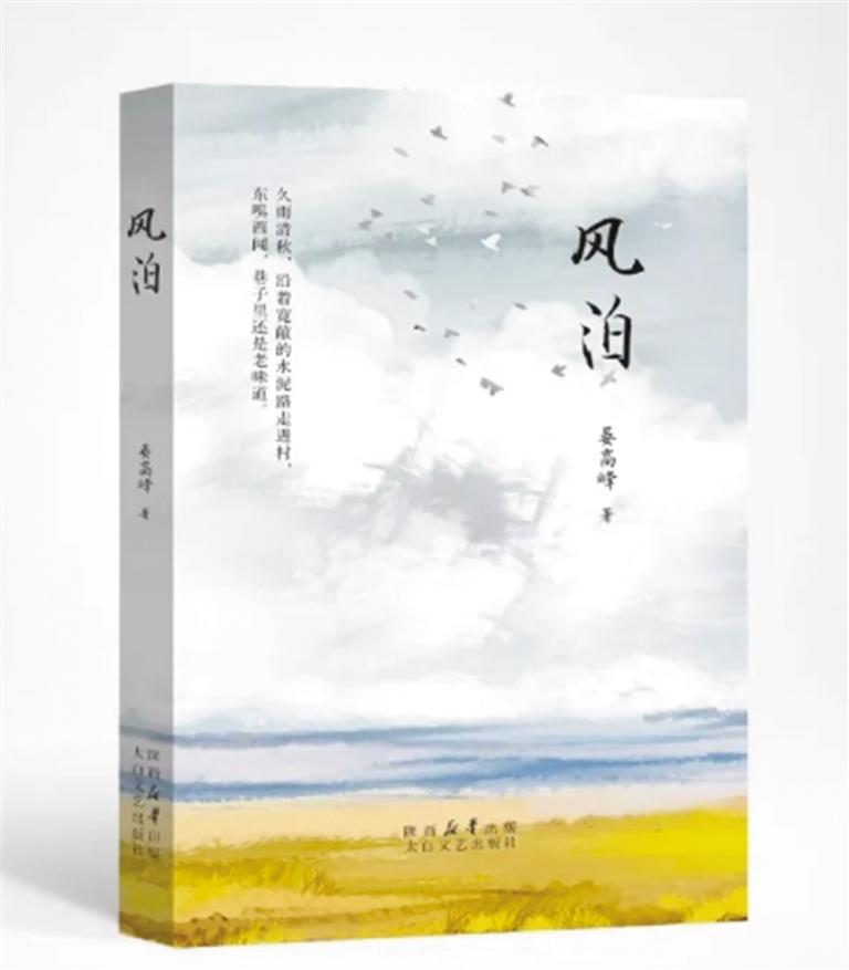 《风泊》晏高峰 著 太白文艺出版社 出版