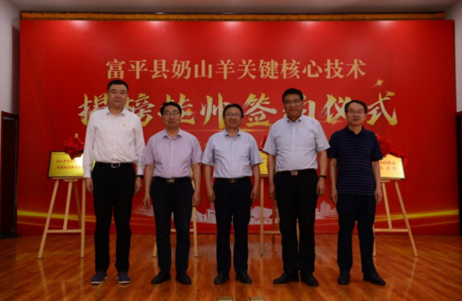 富平县奶山羊关键核心技术揭榜挂帅签约仪式(本文图片由富平县畜牧发展中心提供)