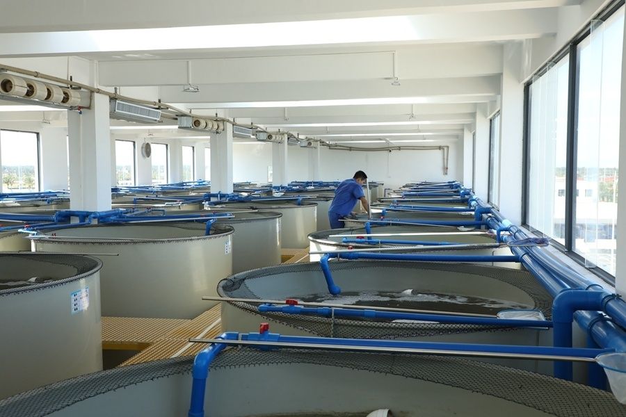 资料图：现代化的育种车间。记者 郑光平 摄