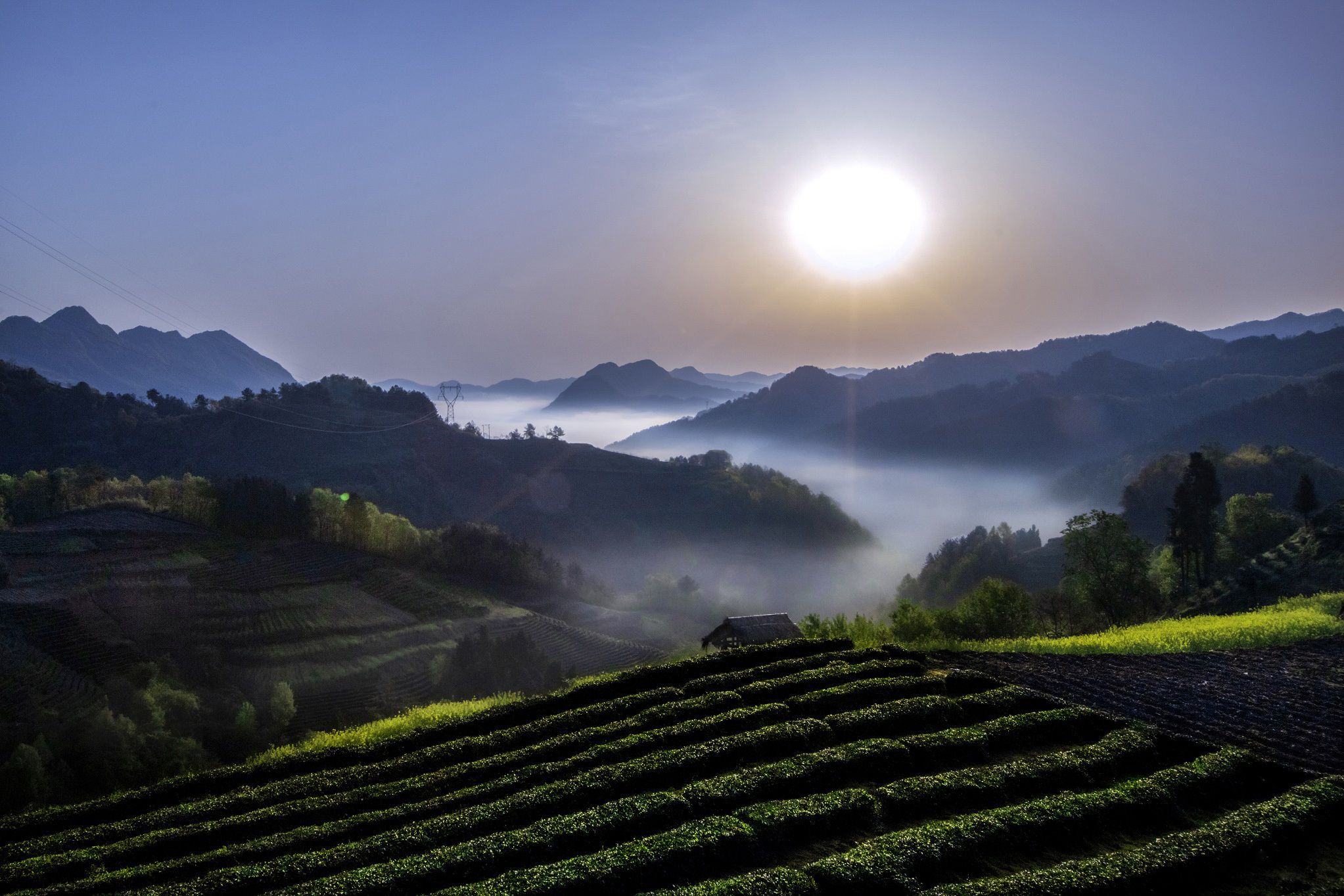 登高远眺，茶王山的美景尽收眼底。张新国 摄