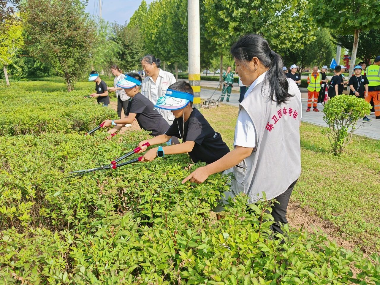 学生们在工作人员的指导下认真修剪绿化带