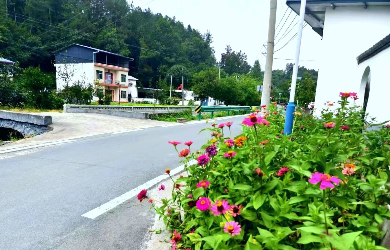 村庄处处鲜花盛放郝彬 摄
