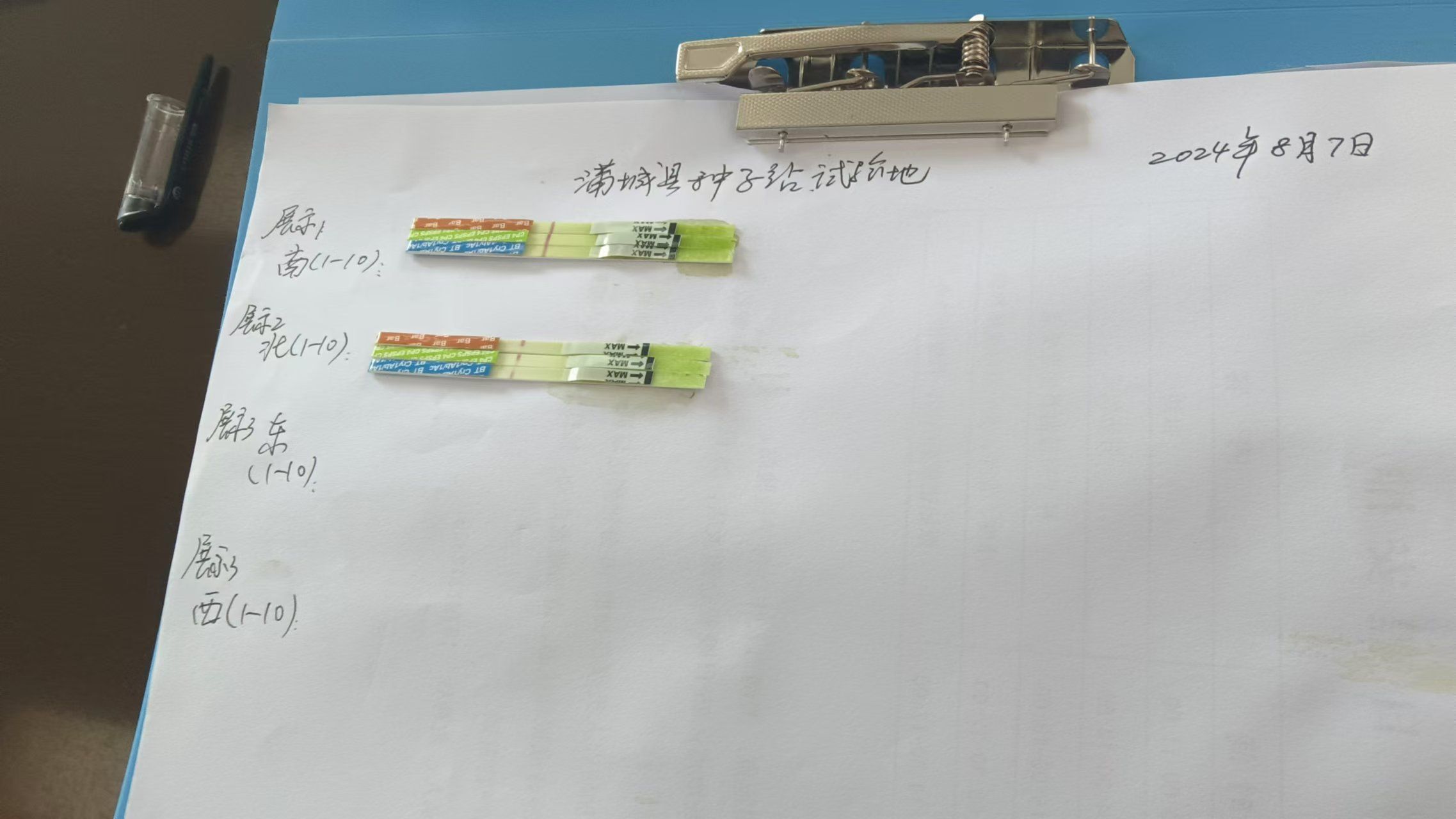 转基因测试条测试