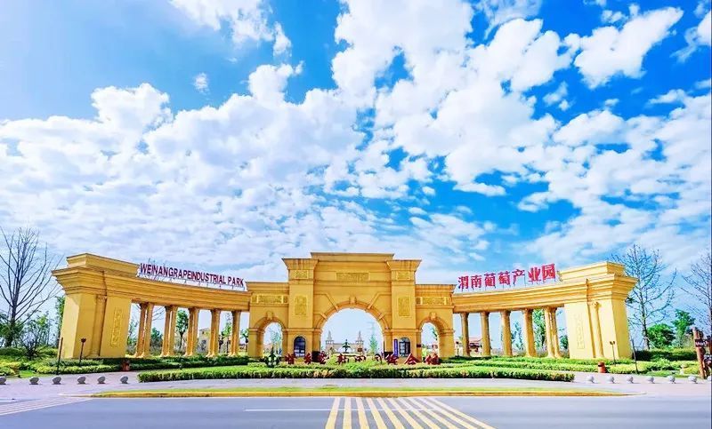 渭南葡萄产业园