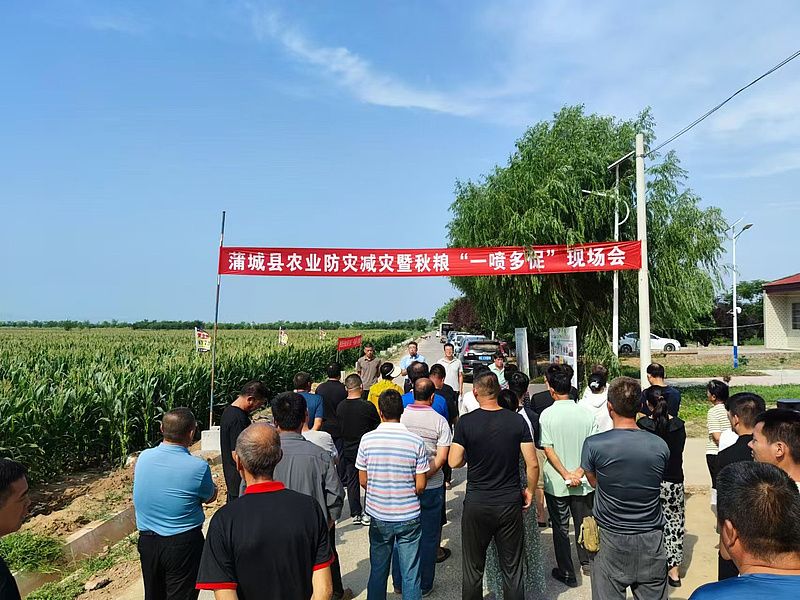 现场培训(图片由蒲城县农业农村局提供)