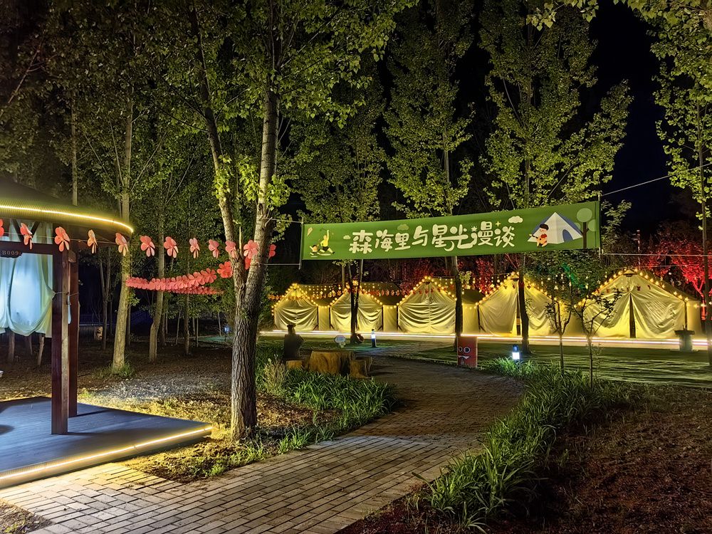 福地湖景区林间小屋夜景。