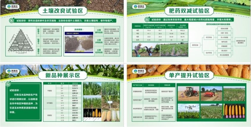 银永安博士在杨凌示范基地开展的玉米4项关键技术重点试验