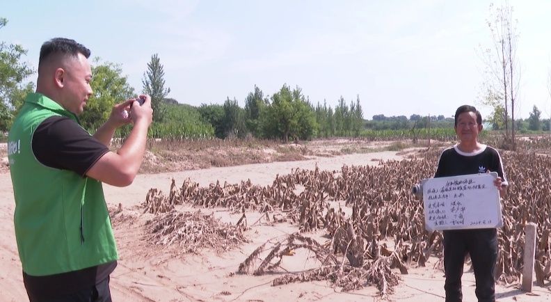 工作人员深入田间地头开展实地测量、评估损失和定损赔付工作（本文图片由蒲城县融媒体中心提供）